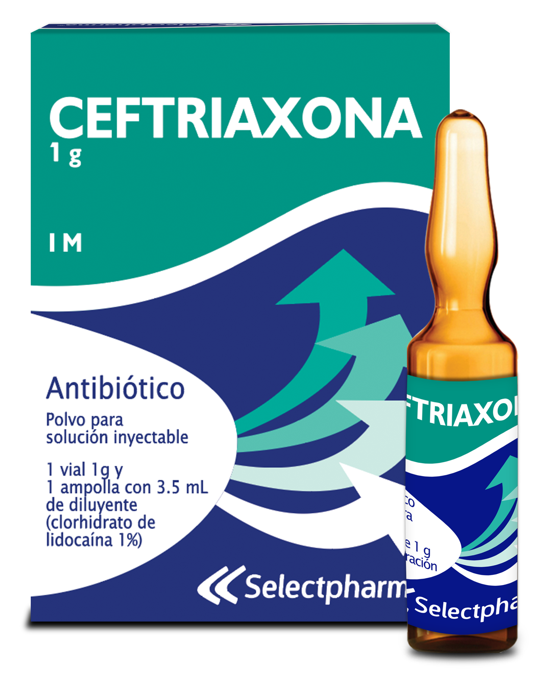Ampolla IM de 1g PPI+Lidocaína a 3.5 mL - Caja por 1 Ceftriaxona ampolla 3.5ml