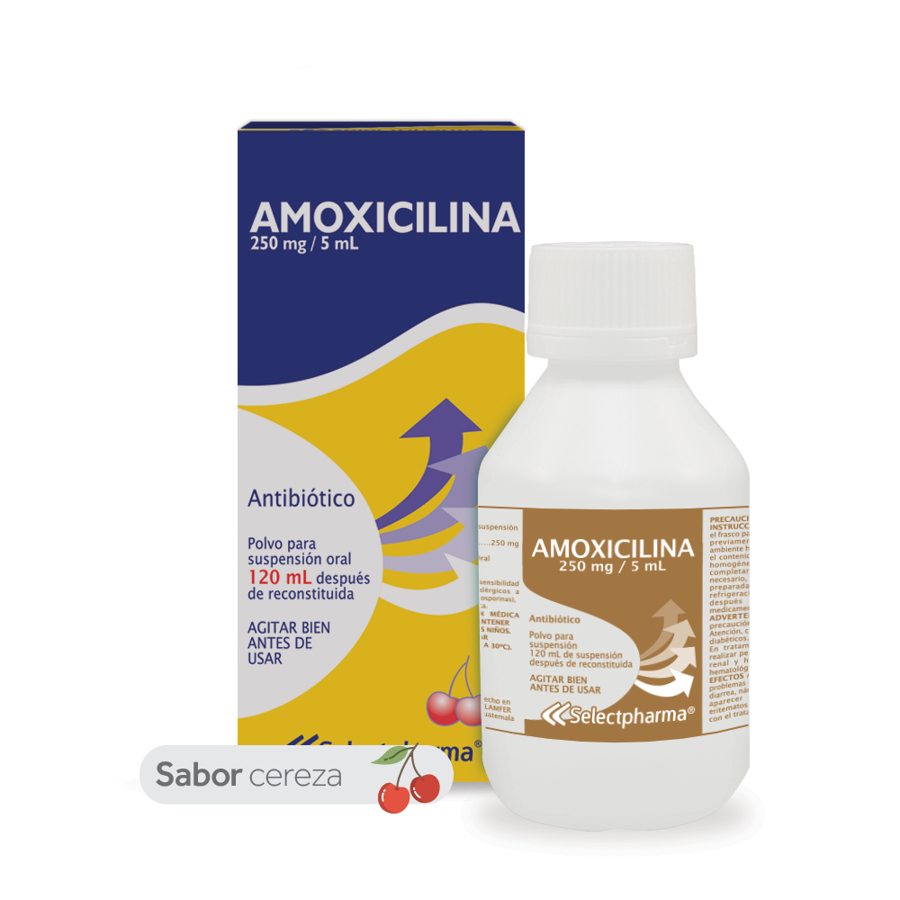 Polvo para suspensión 250 mg/5 mL - Frasco 100 mL
